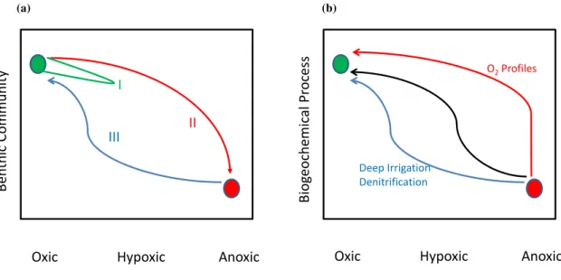 Fig. 7. (a) Conceptual model of benthic community response to hypoxia (based on Diaz and Rosenberg, 2008)