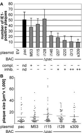 Figure 4. Complementation of the pac deletion and validation of the cell-based inhibitory screen