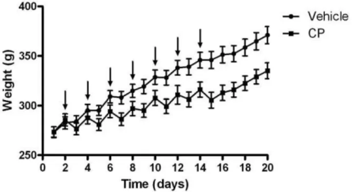 Figure 1. Body weights. Body weights of rats (mean 6 SEM) throughout the study. Arrows indicate CP (30mg/kg)/saline injections.