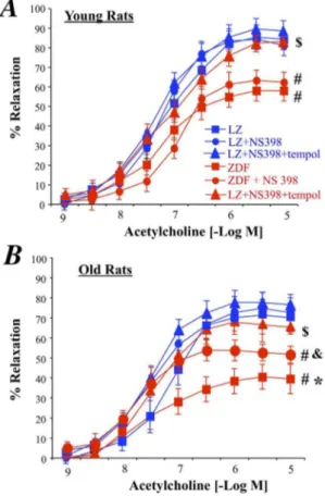 Figure 5. Effect of an acute treatment of mesenteric resistance arteries with the COX-2 inhibitor NS398 or NS398 and the antioxidant tempol on acetylcholine-induced relaxation in young (A) and old (B) LZ and ZDF rats