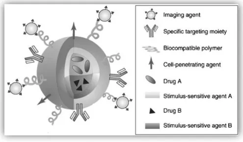 Figure 5 - Illustration of a multifunctional nanoparticle. Multifunctional nanoparticle can combine a specific targeting  agent (usually with an antibody or peptide), a cell-penetrating agent, a stimulus-selective element for drug release,  a stabilizing p