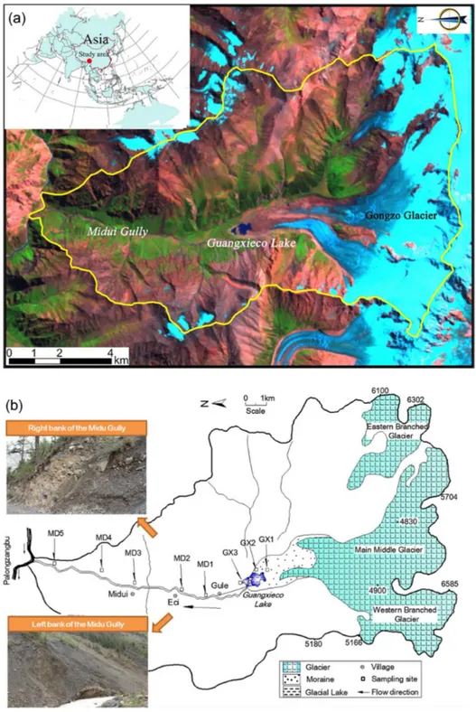 Figure 1. Landscape and background of the study area. (a) TM image of 8 September 2005