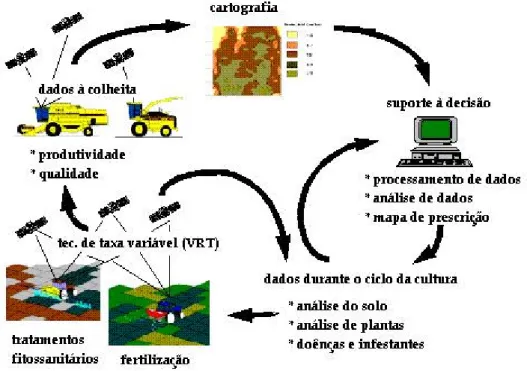 Figura  24  –  Exemplo  de  um  ciclo  de  actuação  na  gestão  da                       variabilidade intra-parcelar 