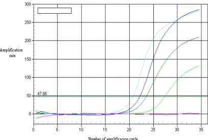 Figure 12. The amplification ratio and amplification cycles of the 522 pb fragment of the  leptin gene