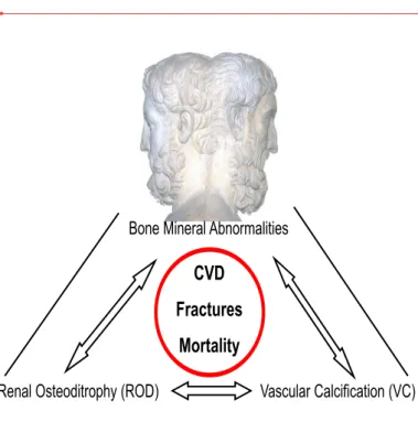 Figure 1. CKD-MBD a multifaceted syndrome  characterised by serum parameters abnormalities,  bone and cardiovascular marker of disease and  associated with poor outcome.