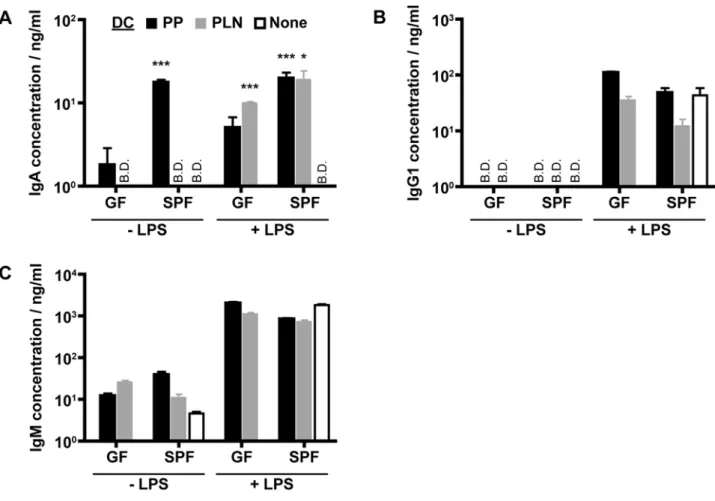 Figure 5. Intestinal commensal bacteria are partially responsible for the ability of PP-DC to promote IgA production