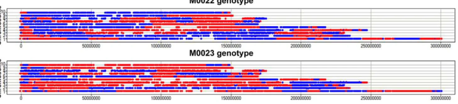 Table 2. Genotyping calls by BAC (Method III).
