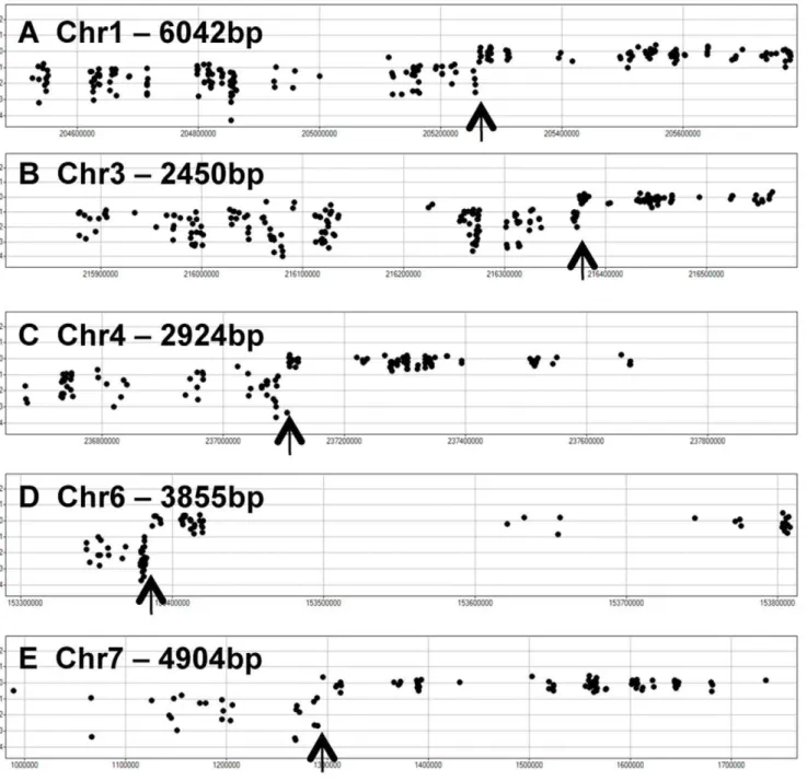 Figure 3. High-resolution of recombination break-points. Several plots show detailed views of the CGH mapping data near recombination events in the RIL M0022