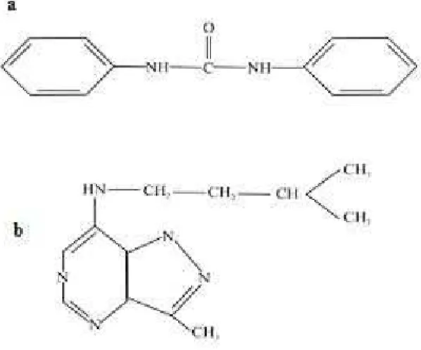Figure  2   Molecular  structures    of some important synthetic  Cks. (a) N-N1-diphenylurea  (b) 3-methyl-7-(3- 3-methyl-7-(3-methylbytylamine pyrazolo [4, 3-D] pyrimidine.
