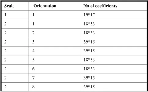 Table 1.  Results after Curvelet Transformation 