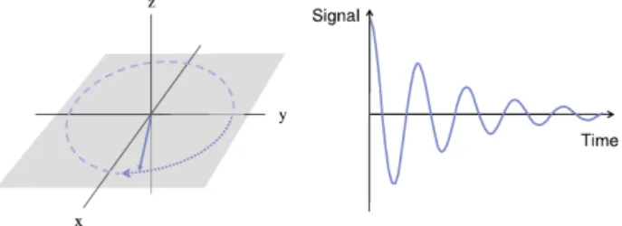 Figure 2.3: Precession of the flipped magnetization in the M xy plane (left) and the induced signal in the receiver coil (right)[7]
