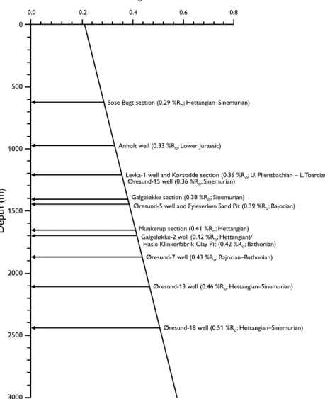Fig. 10. The standard coalification curve for the Danish Basin/Skagerrak–Kattegat Platform used to estimate the burial depth of Lower and Middle Jurassic  coal-bearing strata from the islands of Anholt and Bornholm, the Øresund area and Skåne by means of h