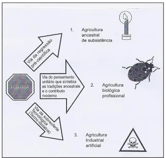 Figura 1: As três vias da agricultura de Jean-Claude Rodet. 