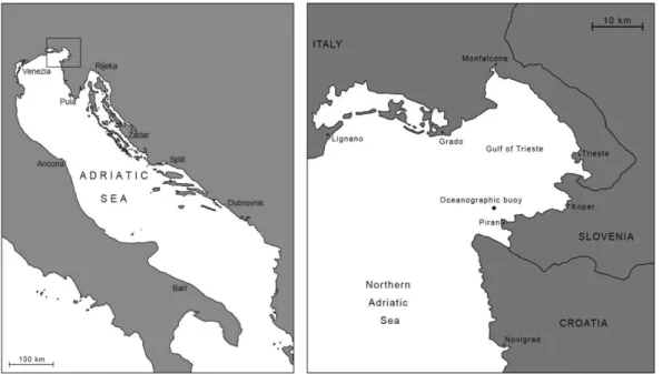 Fig. 1. Study site; the northern Adriatic Sea (left), oceanographic buoy off Piran in the Gulf of Trieste (right).