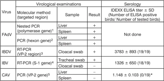 Table 1. Summary of virological and serological results in IBH affected broiler flock