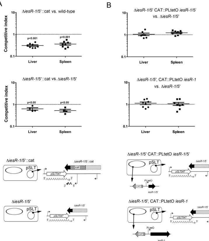 Figure 4. Alteration in the integrity of the IesR-1 molecule causes a defect in virulence that is not restored by complementation in trans 