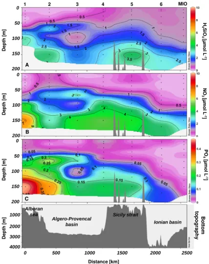 Fig. 2. Nutrient distributions (µM) along the transect 1 during PROSOPE the cruise (sum- (sum-mer/fall 1999).