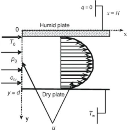 Figure 1. Physical description of the  system 