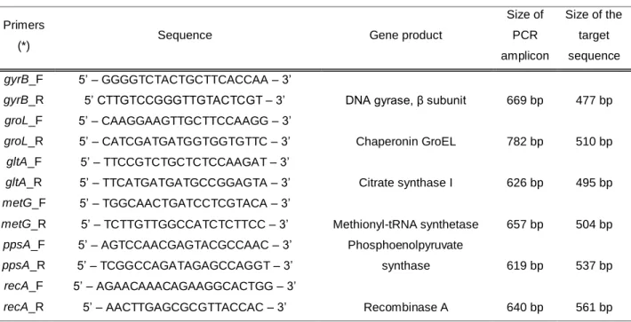 Table 1- Primers used in PCR amplification reactions 