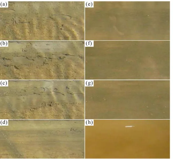 Fig 5. Sequential images displaying the erosion process of bio-sediment, i.e., from the destruction of the biofilm mat to the suspension of lower layers