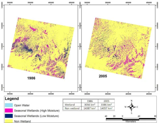 Fig. 4. Spatial distribution of wetland and non wetland.