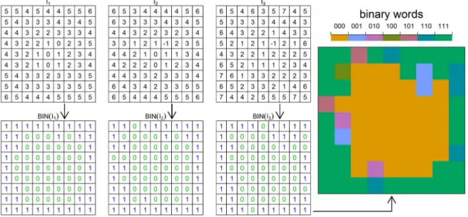 Figure 11. Construction of “binary word” classification for a designed data set. The data are the same as those for Fig