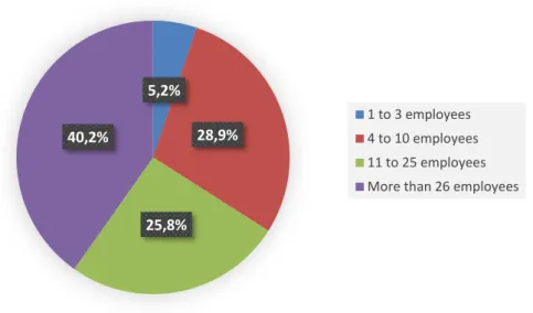 Figure 6 Distribution of companies per size of the maintenance area 