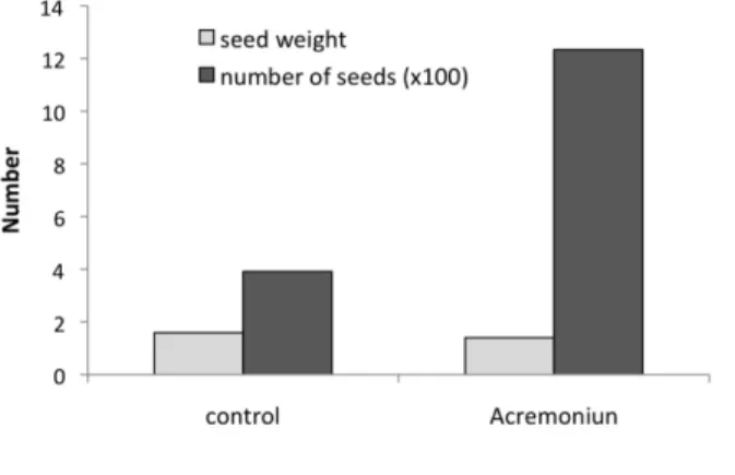 Figure 4.  Seed weight and yield  of summer  oilseed rape cv. Ability. 