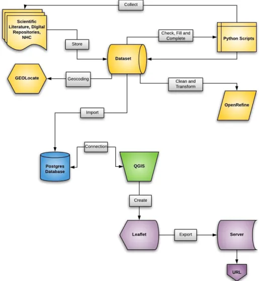 Figure 2.1 – Workflow of the study project, depicting the main tasks of 1) data collection in yellow, 2) data management in  blue, 3) data representation in green and 4) data dissemination in purple (created using the Lucidchart web-based application)