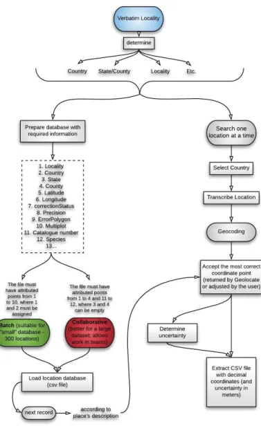 Figure 2.3 – Workflow of how to geocode data in GEOLocate directly from the web browser, using available  web-based clients (Adapted from Soares, 2019; created using the Lucidchart web-based application)