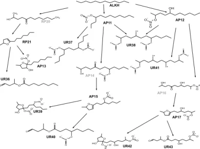 Figure 2. Molecular structures and reference codes for dodecane and of the products of its oxidation by OH in the presence of NO x as elucidated by Lim and Ziemann (2005, 2009) and compiled by Jordan et al