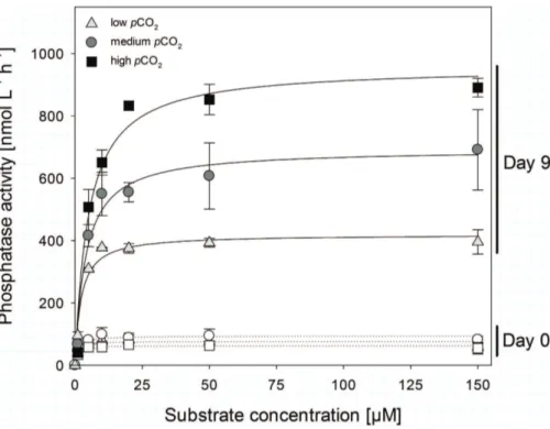 Fig. 6. Total alkaline phosphatase activity at day 0 and day 9 of low (triangle), medium (circle) and high (square) pCO 2 treatments.