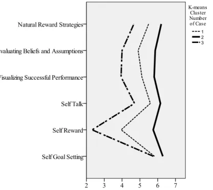 Figure 2. Graphic representation of the three cluster solution. 