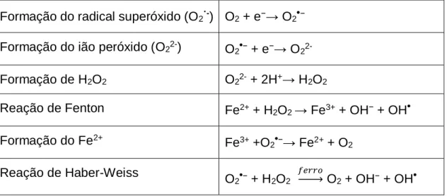 Tabela 4.2.1-1: Síntese das reações que ocorrem na formação de espécies reativas de oxigénio; Adaptado das  referências (18,24)    