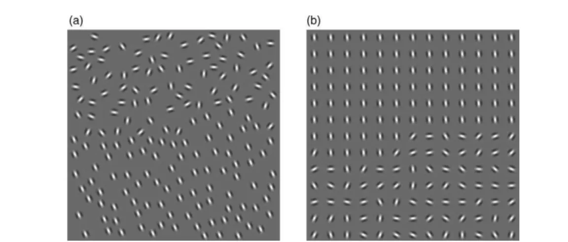 Figure 3. Stimulus manipulations. (a) Each stimulus consists of two areas; the implicit edge is formed by  discontinuities in orientation of the elements