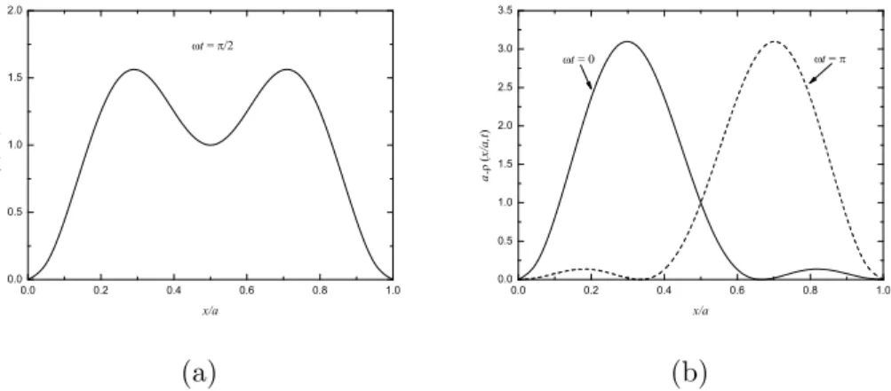 Figure 2: Plot of ρ(x, t) in adimensional units with extreme values in the uncertainty relation