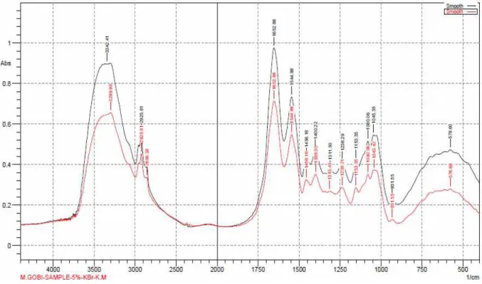 Fig. 3 FTIR-ATR over lapped spectra of E. fetida both control and 5 % concentration spectra with molecular  modifications are reported by a red line while control spectra are reported by black line