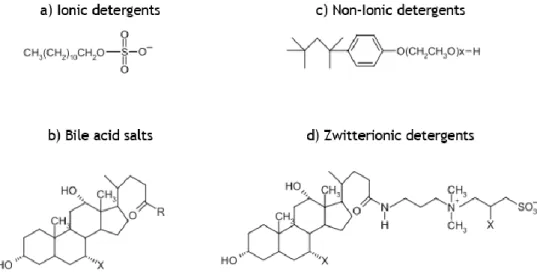 Figure 6. Structures of different types of detergents used in the solubilization of membrane proteins.