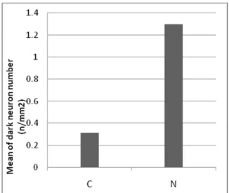 Figure 4. Comparison of dark neurons numbers per  unit  area  in  rat's  hippocampus  of  chronic  noise  exposure  group  and  controlgroup(mean±SEM)