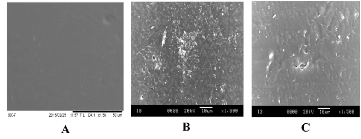 Figure 5 Representative SEM micrographs of untreated and HNO 3 treated mPE. (A) Untreated mPE (B) 30 min HNO 3 treated mPE (C) 60 min HNO 3 treated mPE.