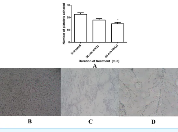 Figure 9 Platelet adhesion assay of untreated and HNO 3 treated mPE. (A) Comparison of the num- num-ber of platelets adhered untreated, 30 min and 60 min HNO 3 treated mPE