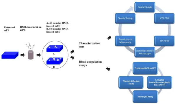 Figure 1 Schematic representation of series of characterization and blood compatibility experiments done.