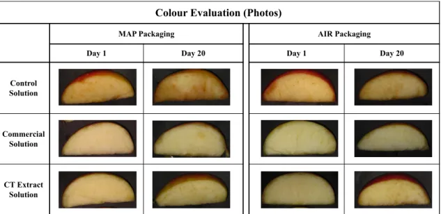 Figure 4.6: Visual Assessment of colour changes occurred in apple slices during the storage,  between day 1 and day 20, under MAP packaging (photos on the left) and AIR packaging  conditions (photos on the right) 
