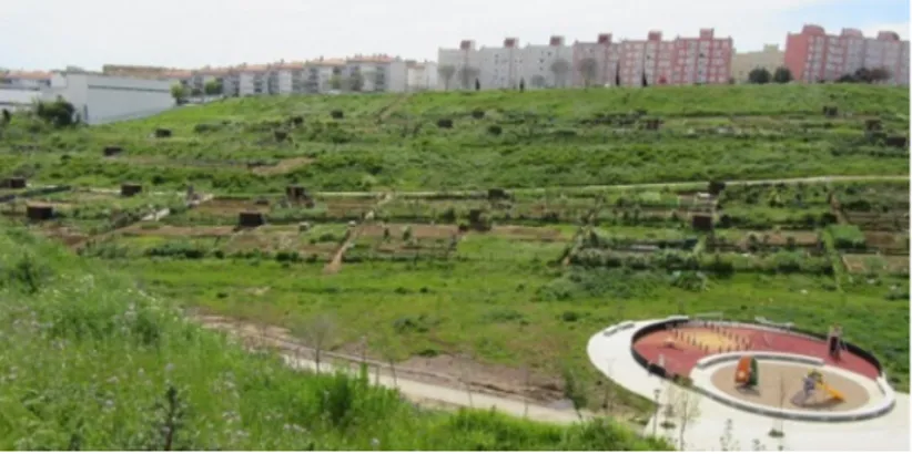 Foto 1 – Agricultura urbana no vale de Chelas (Cidade de Lisboa) em área de Estrutura Ecológica Municipal (Lisboa)