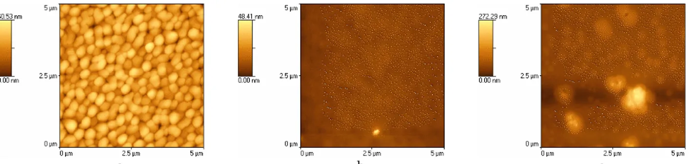 Fig. 8  –  AFM images (5  5 m 2 ) of (1:4) MEH-PPV: Modified fullerene film spin coated from (a)  chloroform on quartz substrate  (area roughness = 7.3 nm and average height = 34.25 nm)