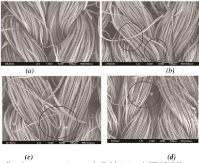 Fig. 2: Bundles of yarns present in natural silk fabric (catch SEM 200 X). (a) prior to the  formation of pillingului; (b) formation of downy-layer fuzzy; (c) tangle of fibres 
