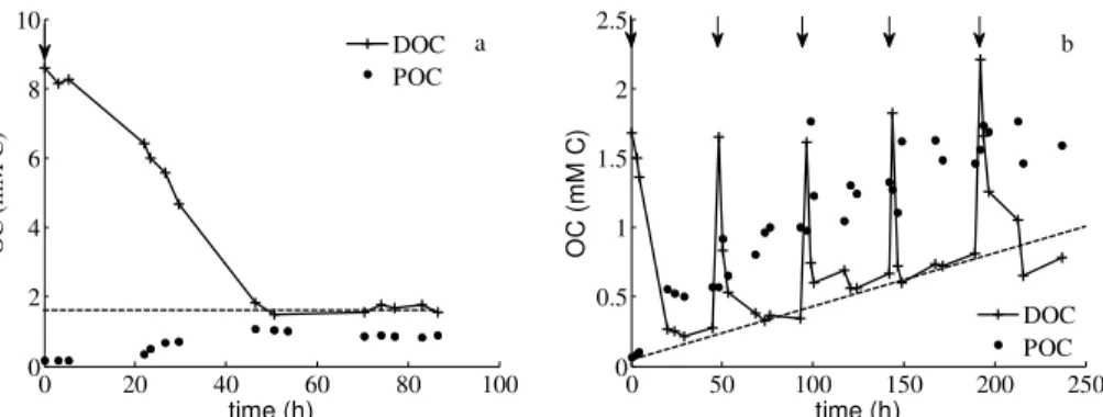 Fig. 1. Concentrations of dissolved and particulate organic carbon (DOC and POC, in mM C) measured in (a) the B and (b) the P experiments
