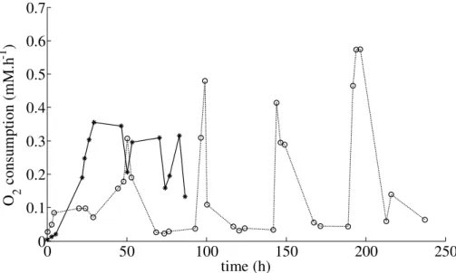 Fig. 2. Dynamics of O 2 consumption (mM h −1 ) as calculated from the decrease in O 2 concen- concen-tration at each sampling time for the B (*) and the P ( ◦ ) experiment
