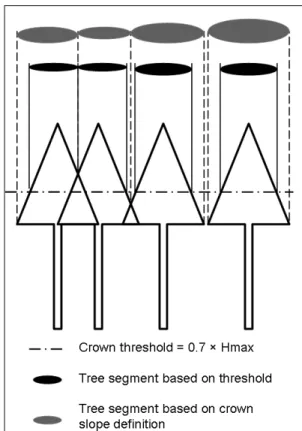 Figure 1. Tree crown delineation philosophy and its influence  on crown segment size 