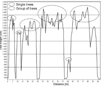 Figure 2. Forest stand cross-section in CHM  